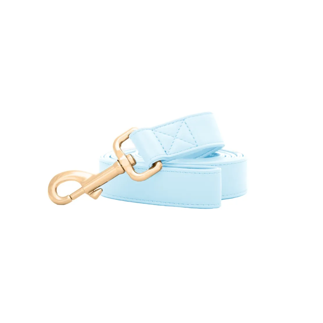 Baby Blue Leash