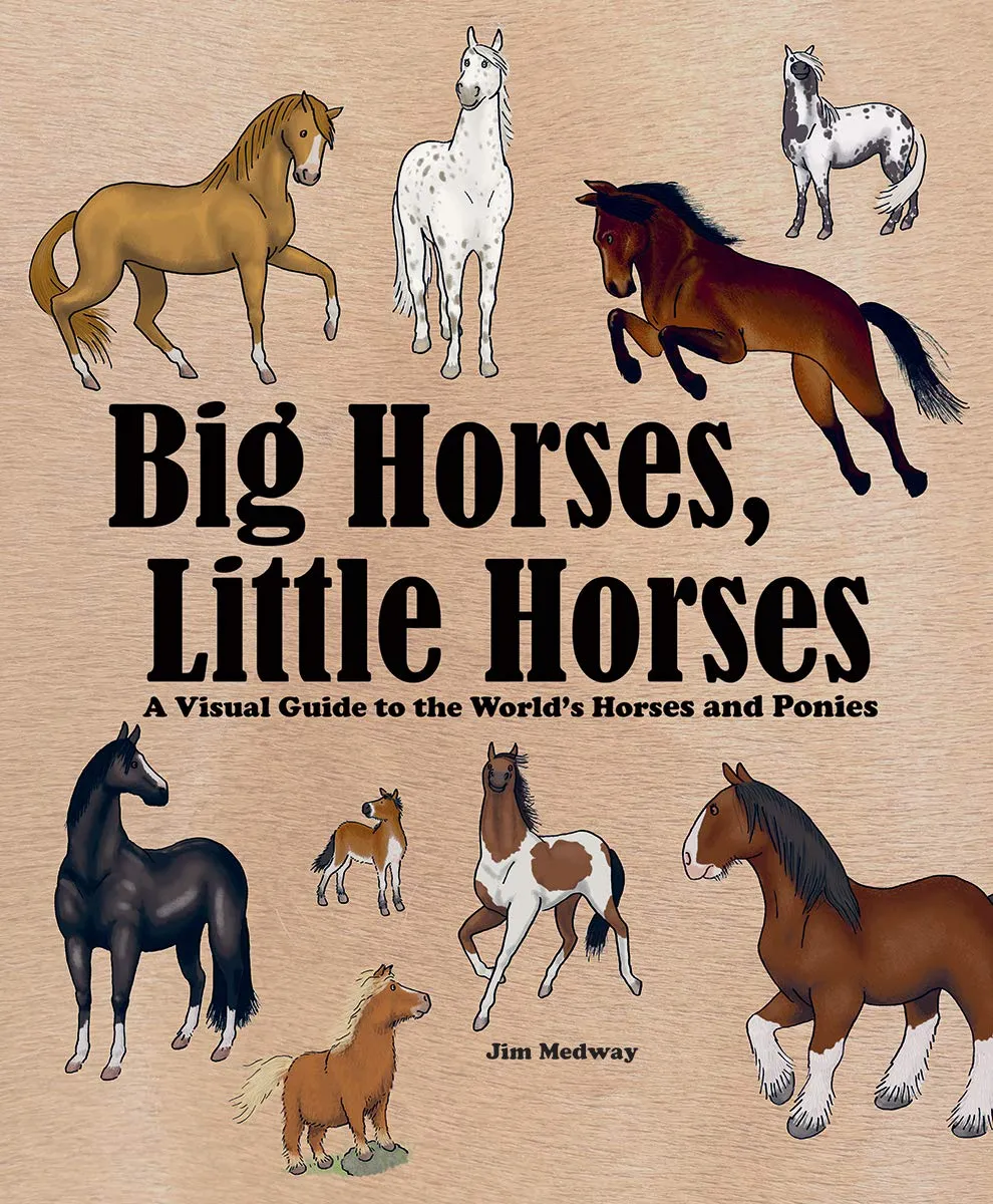 Big Horses, Little Horses : A Visual Guide to the World's Horses and Ponies