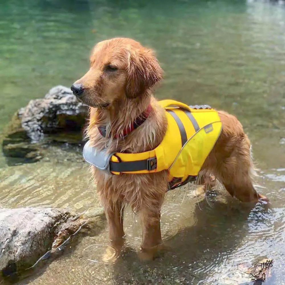 Dog Life Jacket - Lifeguard