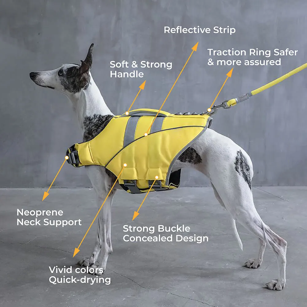 Dog Life Jacket - Lifeguard