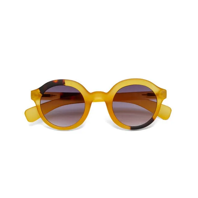 Sunglasses LAURO Collection OK031-Y3H